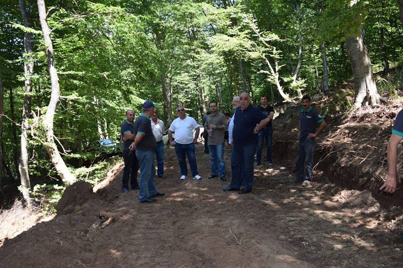 სატყეო გზების მოწესრიგება დმანისში