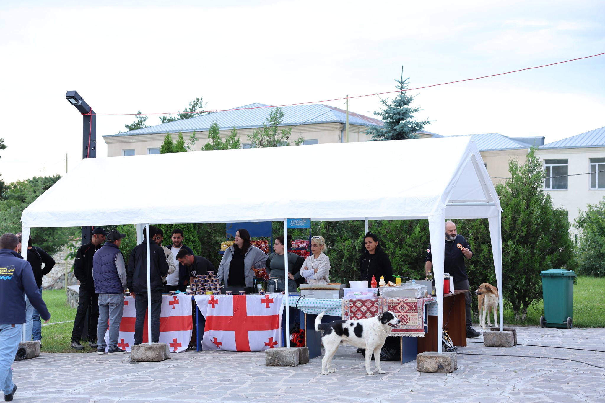 დმანისის მუნიციპალიტეტის მერიის ორგანიზებით, ისტორიული მატჩის საგულშემატკივროდ ცენტრალურ სკვერში დიდ ეკრანზე საქართველო-თურქეთის მატჩის პირდაპირი ტრანსლაცია გაიმართა.