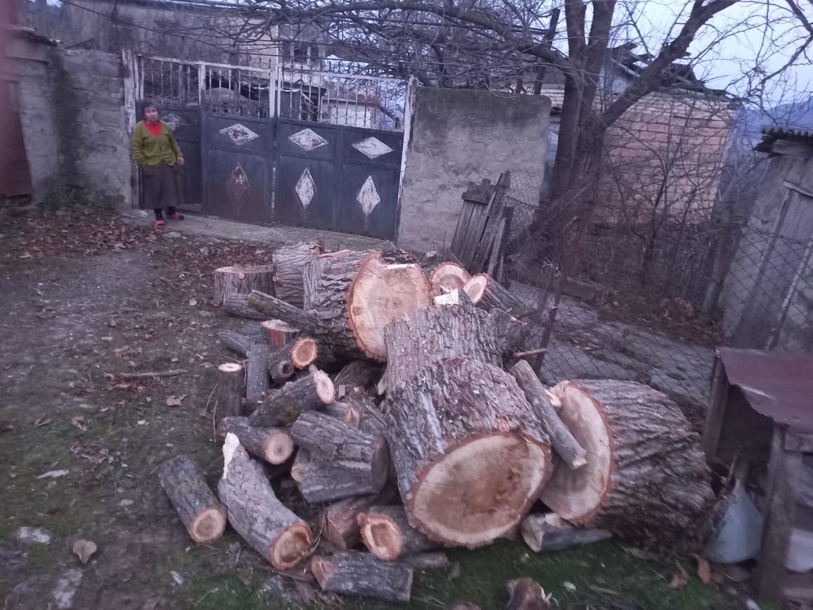 სოციალურად დაუცველებს საშეშე ნერქანი გადასცეს